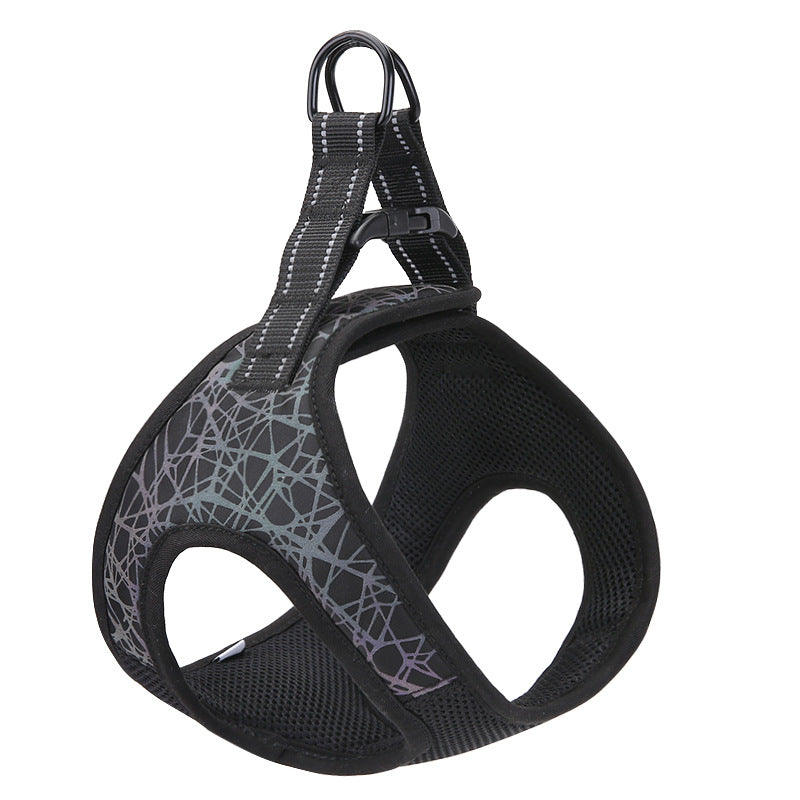 Hundegeschirr mit Leine – Grösse S–XL, blau / grün | LuxeStyle