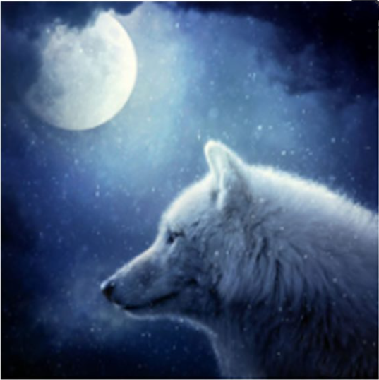 Diamond Painting: Tiere und Pflanzen – Bild 5 | LuxeStyle