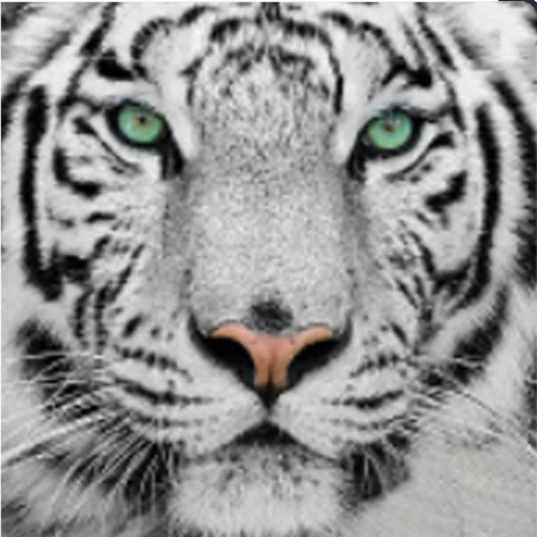 Diamond Painting: Tiere und Pflanzen – Bild 2 | LuxeStyle