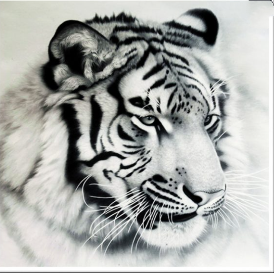 Diamond Painting: Tiere und Pflanzen – Bild 4 | LuxeStyle