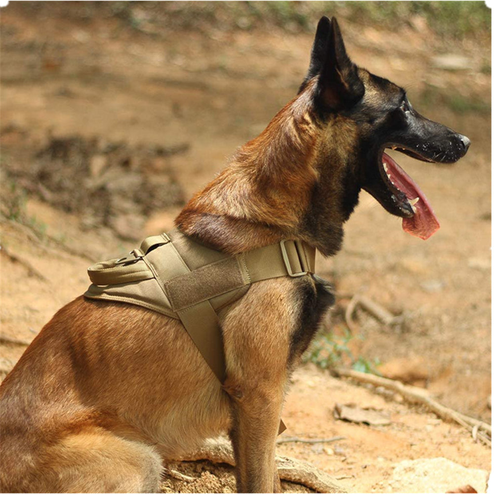 Taktische Hundeweste – Bild 7 | LuxeStyle