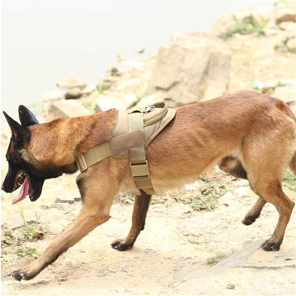 Taktische Hundeweste | LuxeStyle