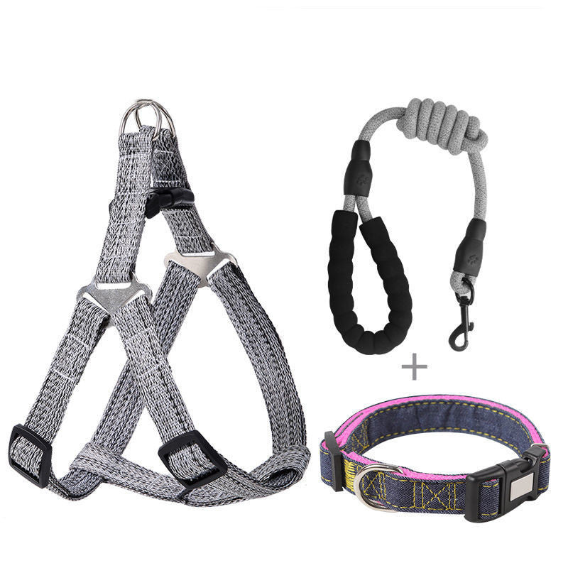 Reissfestes Hundegeschirr mit Leine – Bild 4 | LuxeStyle