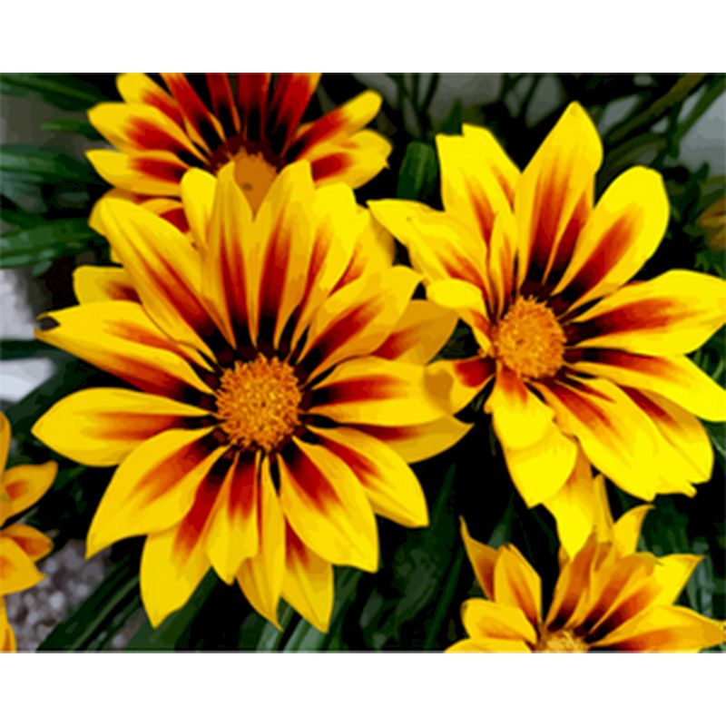 DIY Ölmalerei Set „Digitale Blumen“ – Bild 19 | LuxeStyle