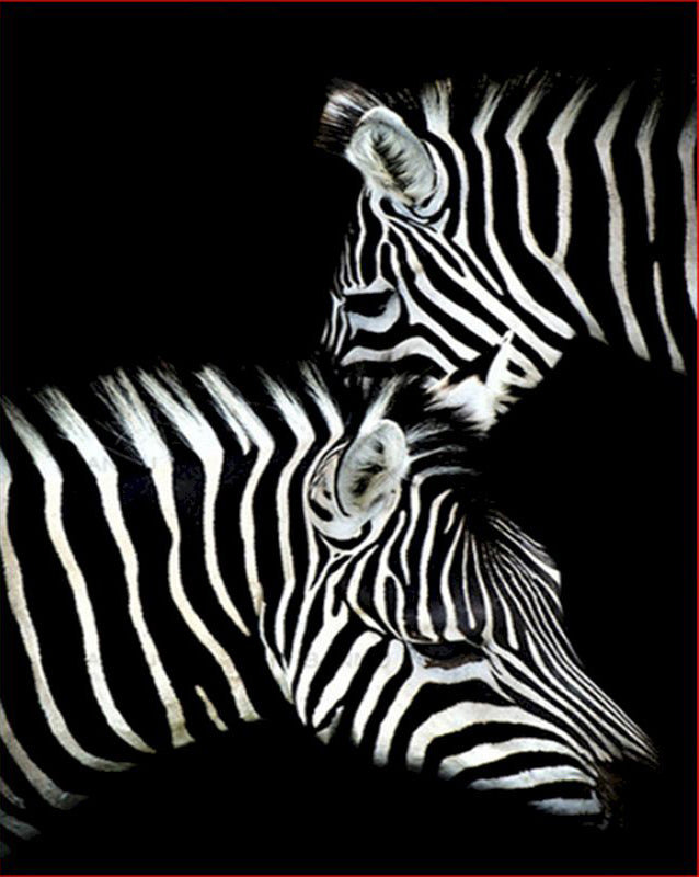 Digitales Tier-Ölgemälde Zebra DIY Kit | LuxeStyle