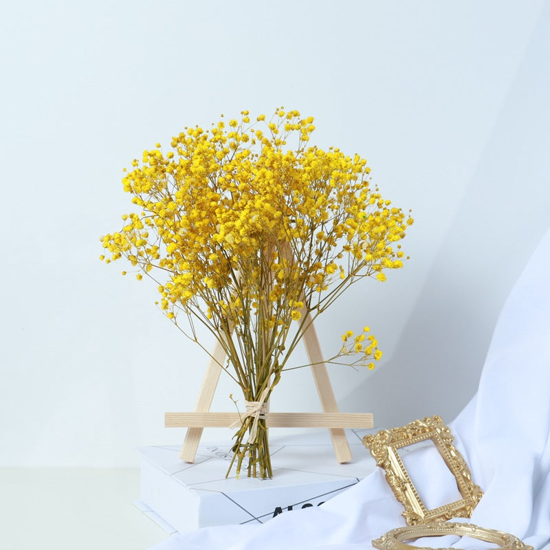 Gipsblumen-Bouquet getrocknet