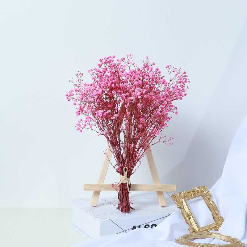 Gipsblumen-Bouquet getrocknet