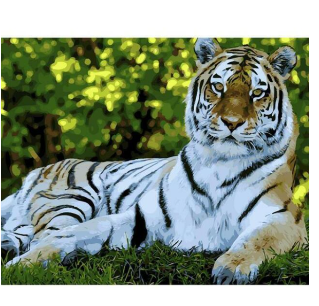 Tigerblick DIY Digital Painting Kit – Bild 2 | LuxeStyle
