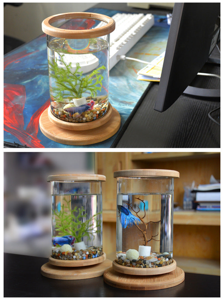 Mini-Aquarium mit Bambusbasis