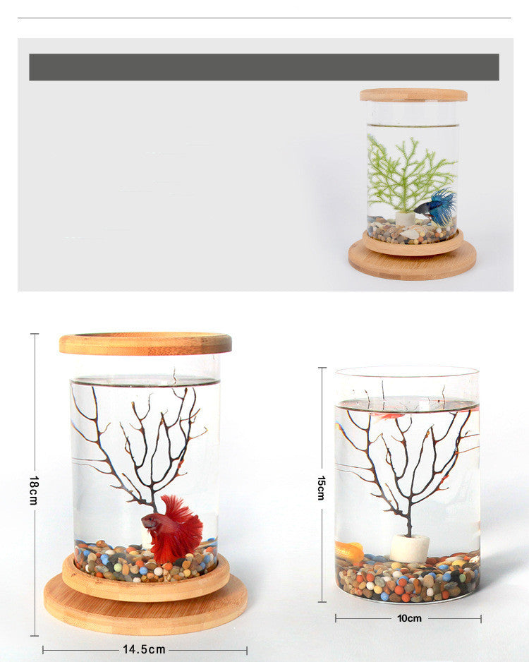 Mini-Aquarium mit Bambusbasis
