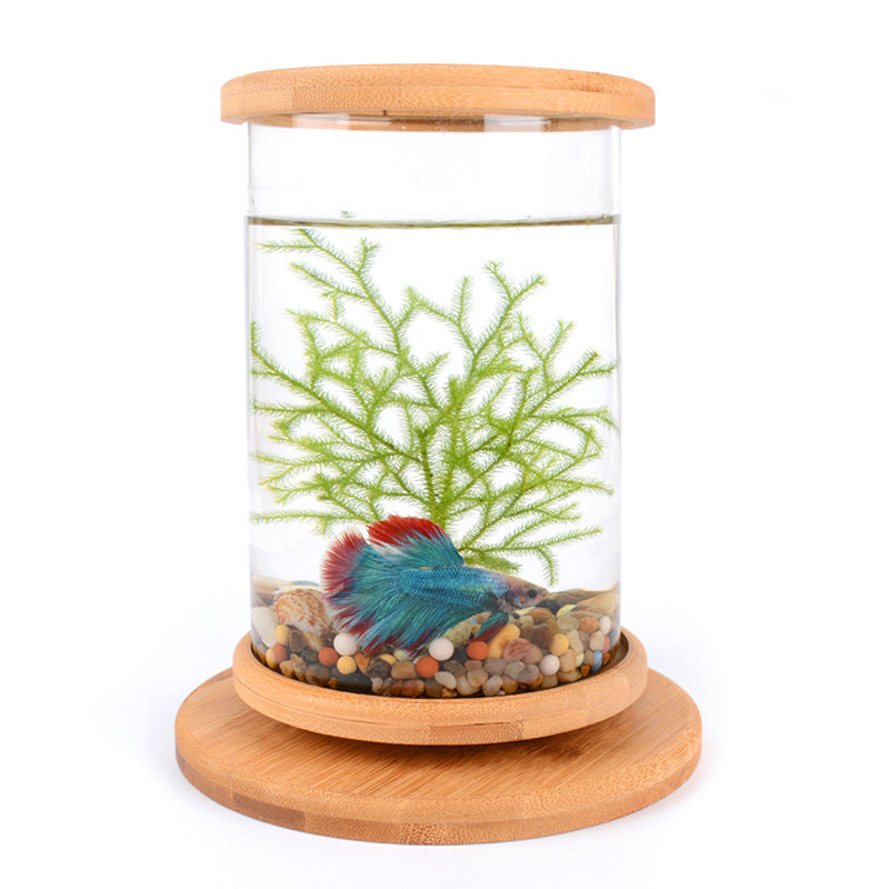 Mini-Aquarium mit Bambusbasis