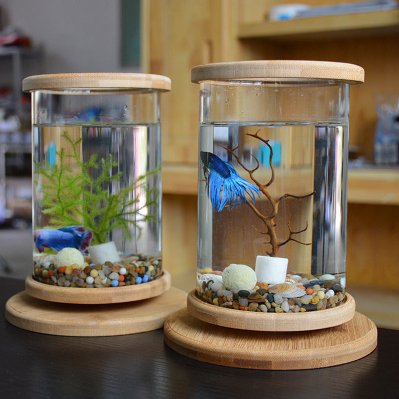 Mini-Aquarium mit Bambusbasis