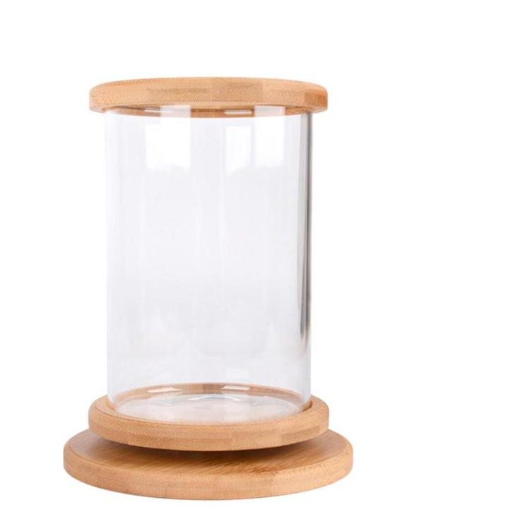 Mini-Aquarium mit Bambusbasis