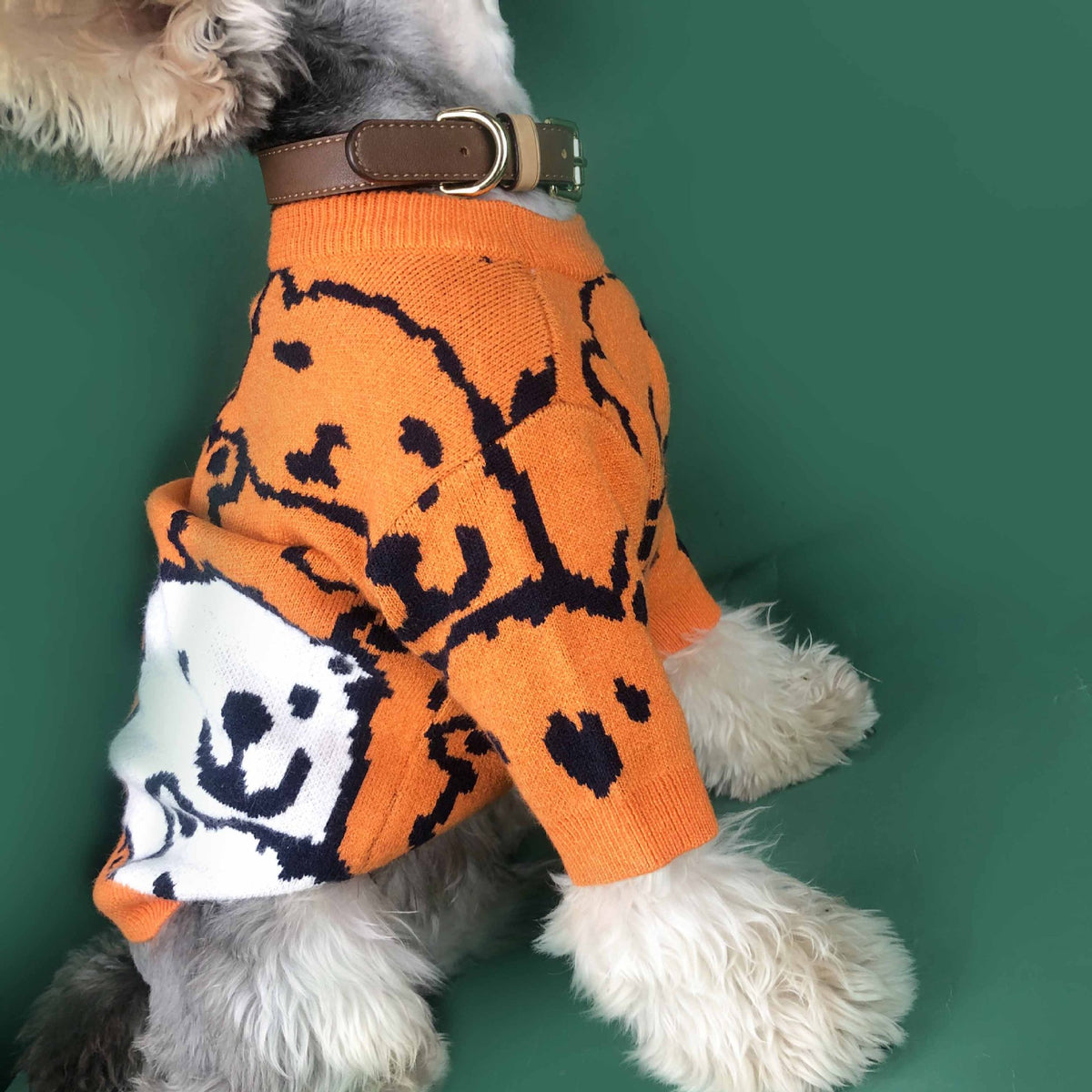 Hundepullover für kleine Hunde, orange – Bild 3 | LuxeStyle
