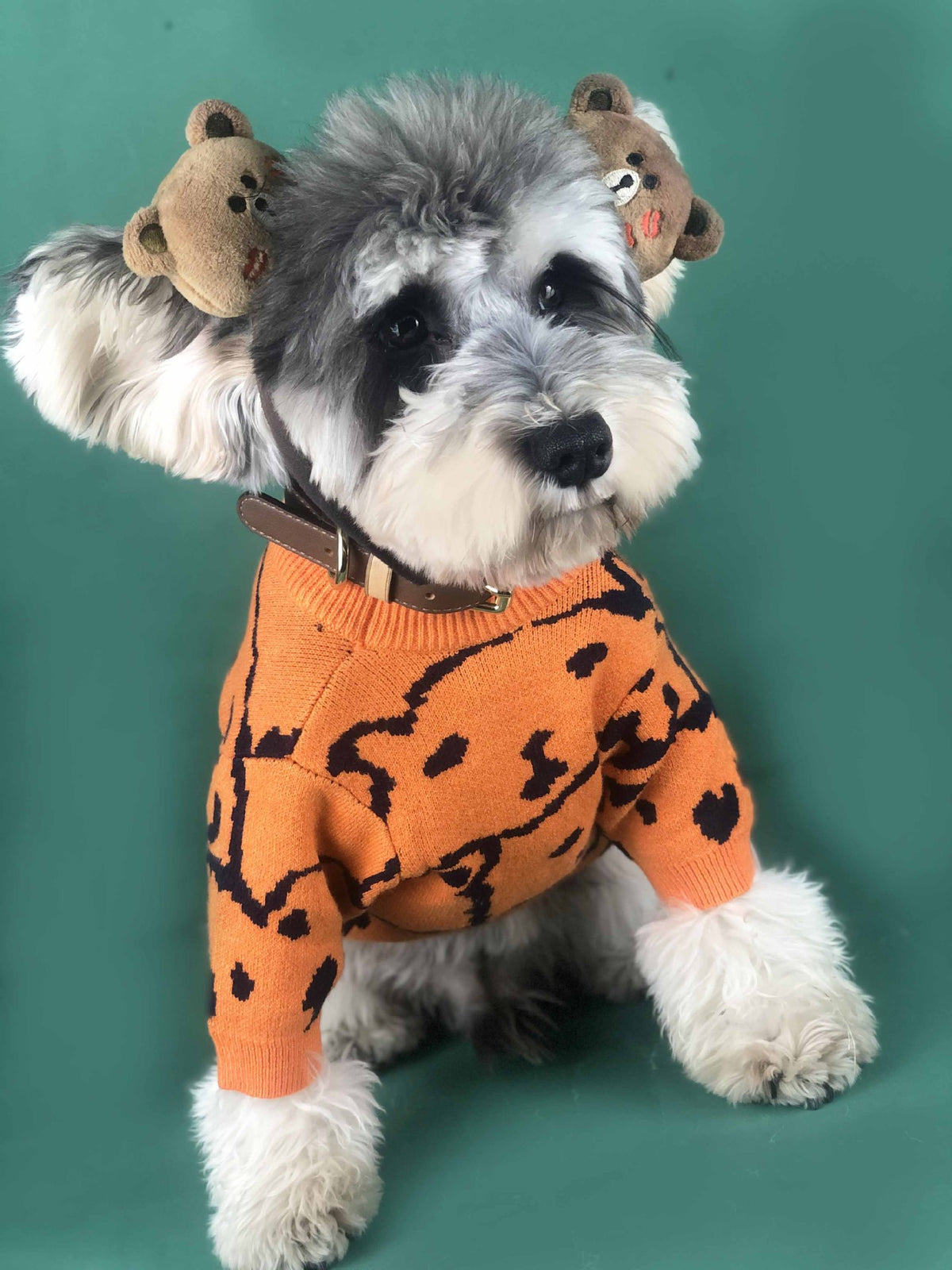 Hundepullover für kleine Hunde, orange – Bild 5 | LuxeStyle