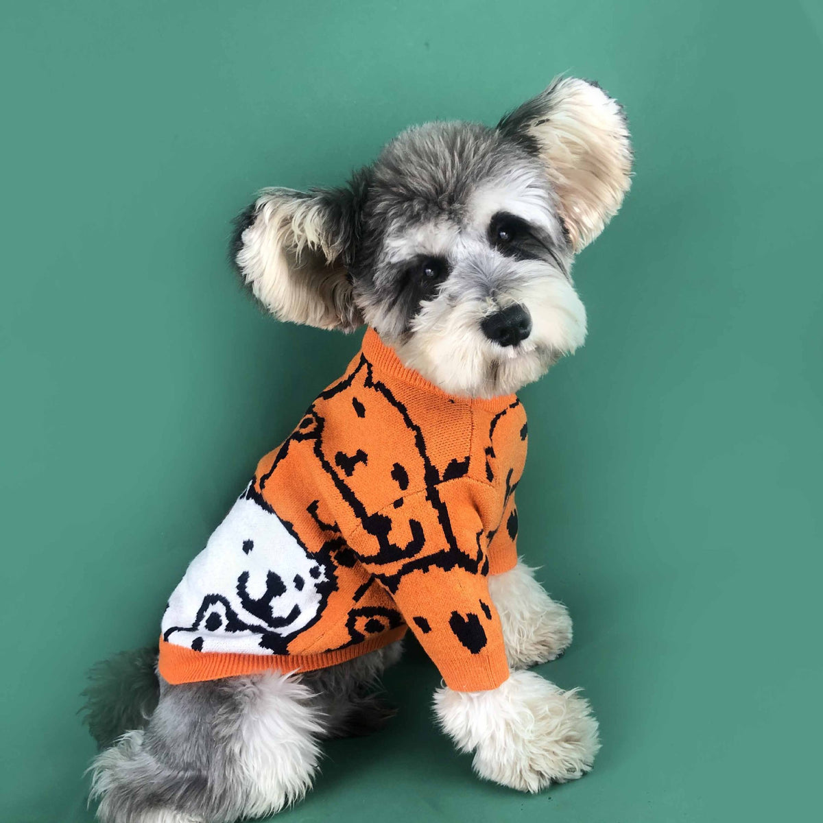 Hundepullover für kleine Hunde, orange – Bild 2 | LuxeStyle