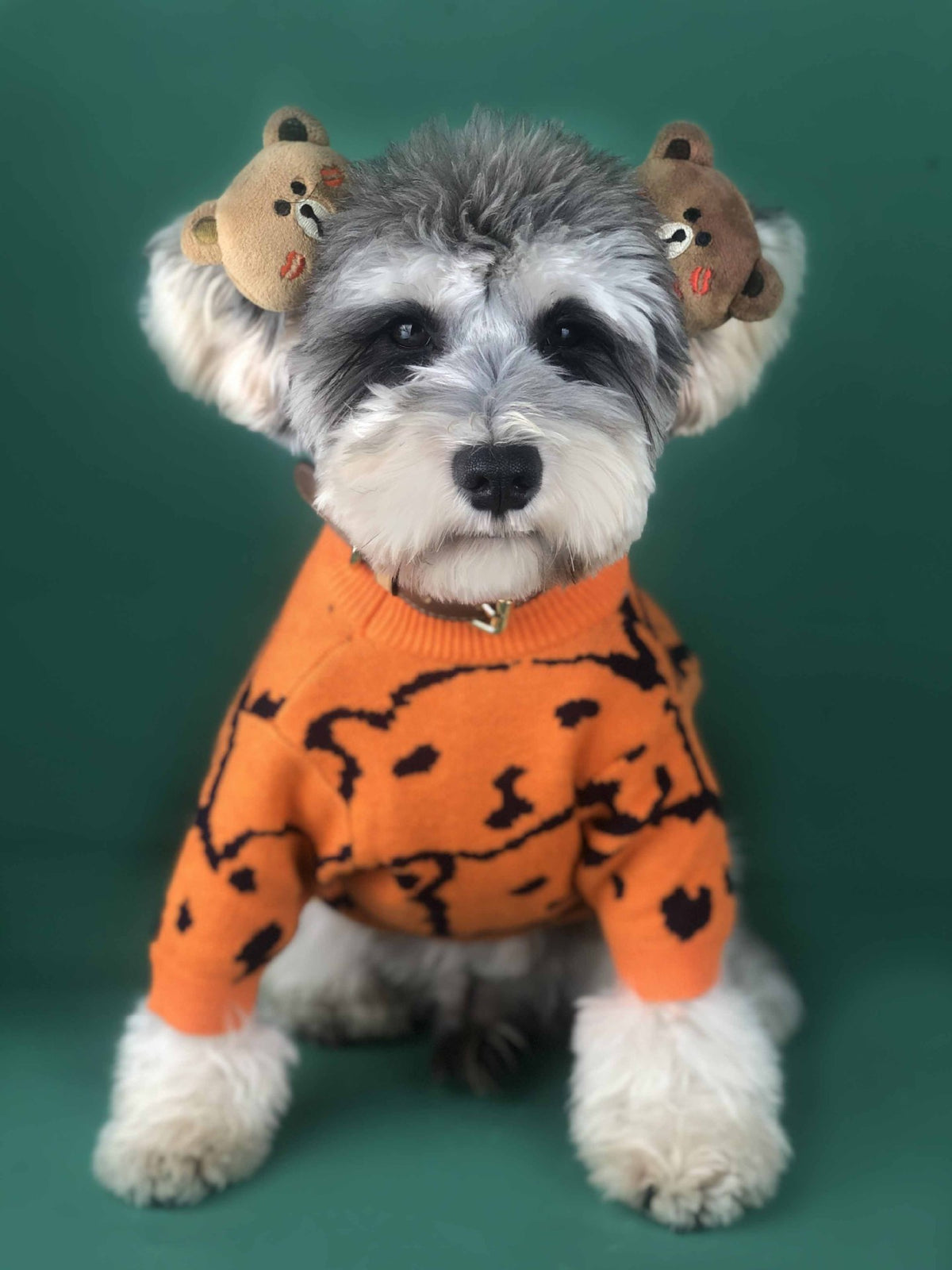 Hundepullover für kleine Hunde, orange | LuxeStyle
