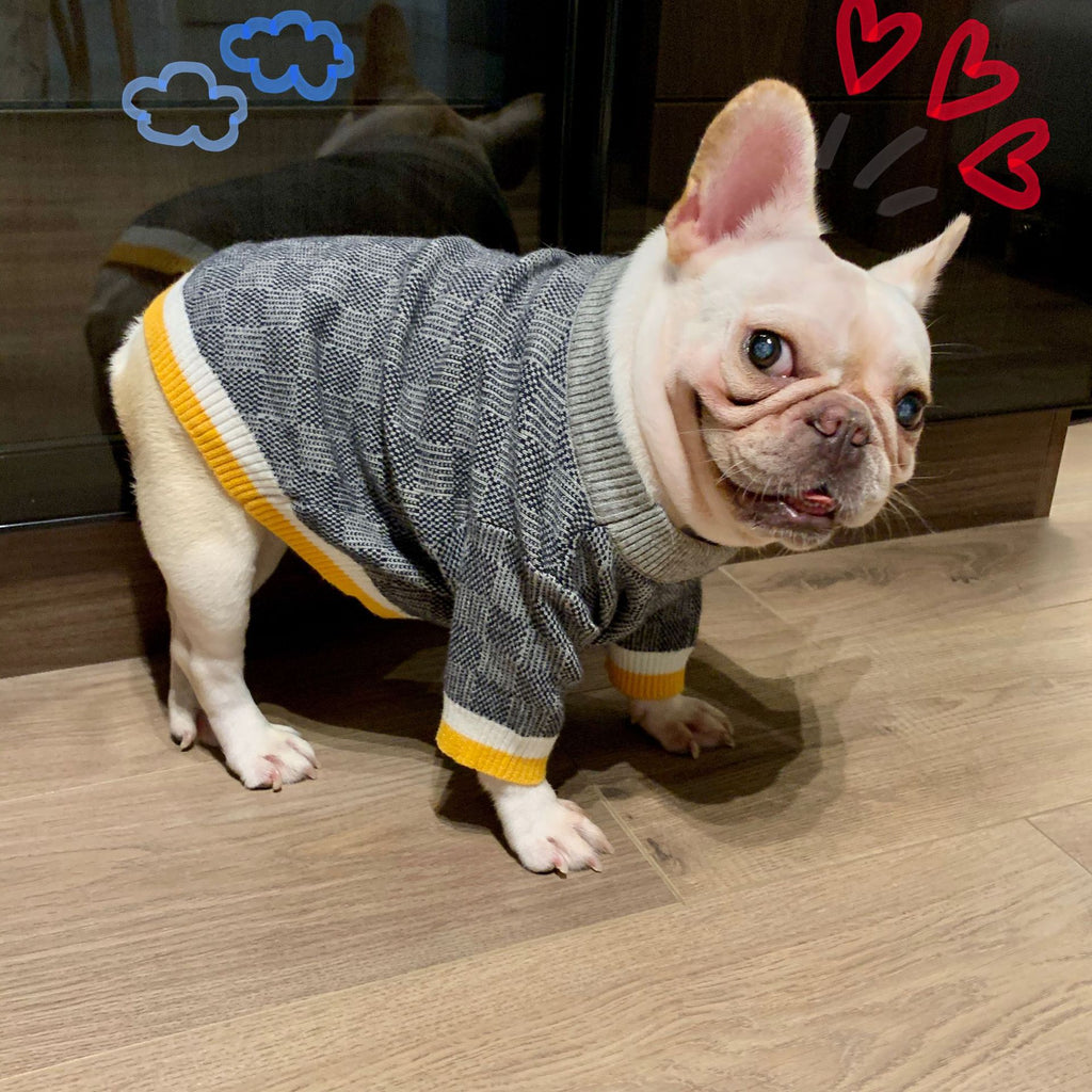 Wollpullover für Hunde in Blau – Bild 6 | LuxeStyle