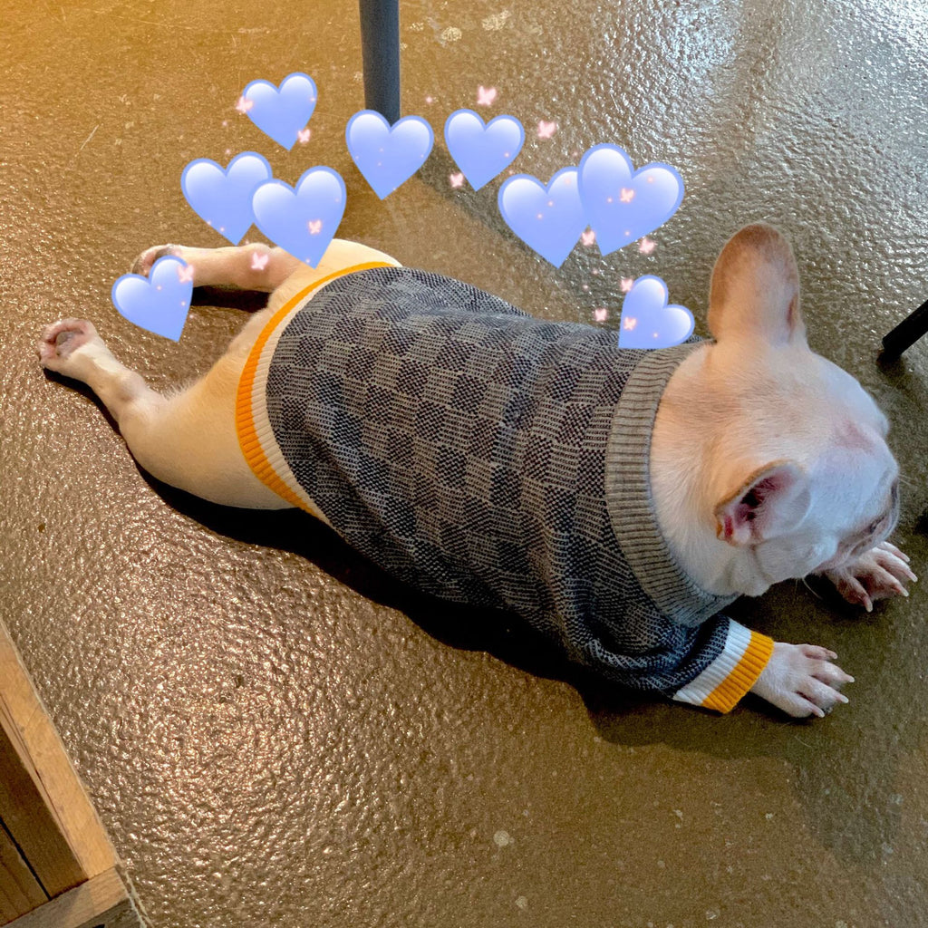 Wollpullover für Hunde in Blau | LuxeStyle