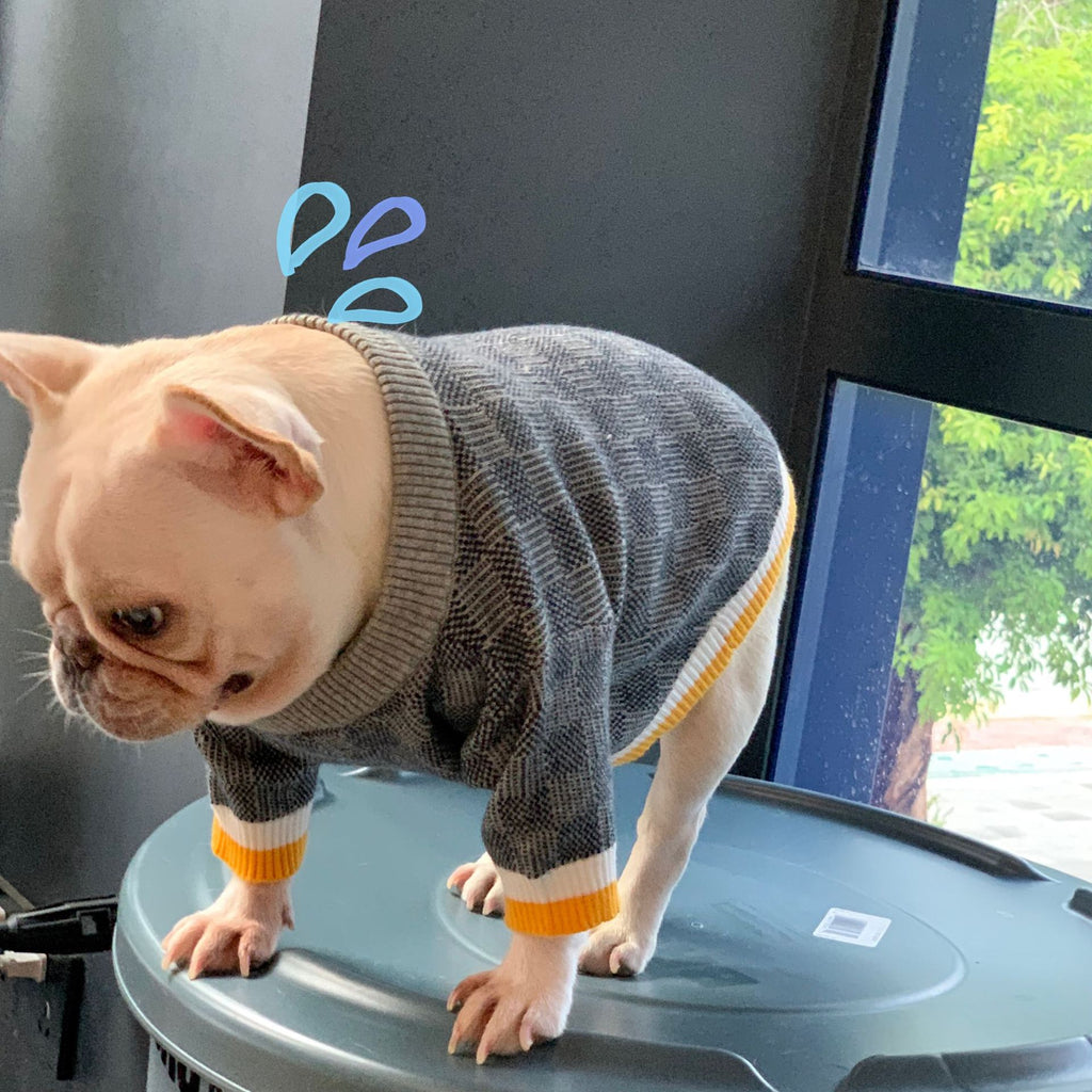 Wollpullover für Hunde in Blau – Bild 5 | LuxeStyle