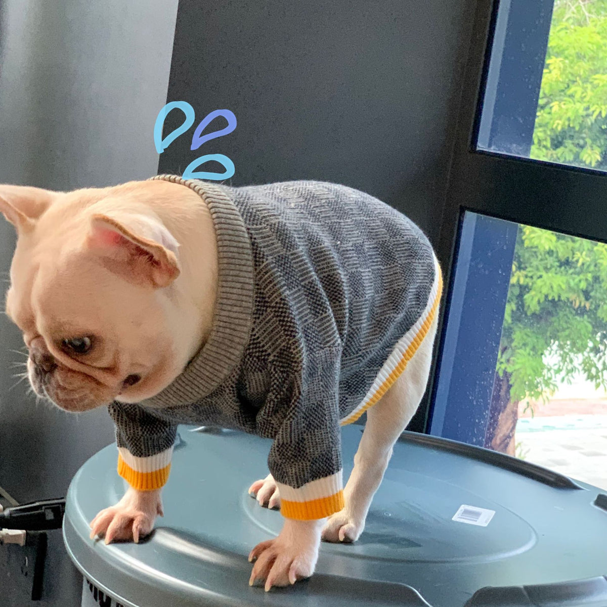 Wollpullover für Hunde in Blau – Bild 5 | LuxeStyle
