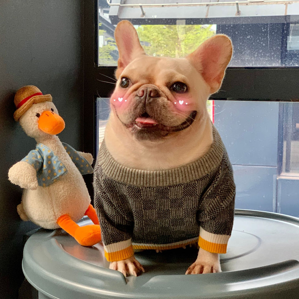 Wollpullover für Hunde in Blau – Bild 2 | LuxeStyle