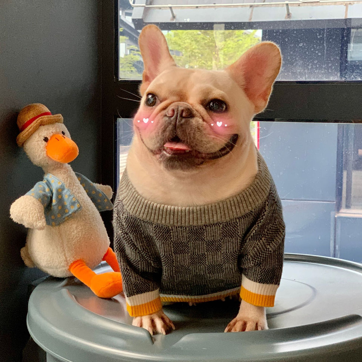 Wollpullover für Hunde in Blau – Bild 2 | LuxeStyle
