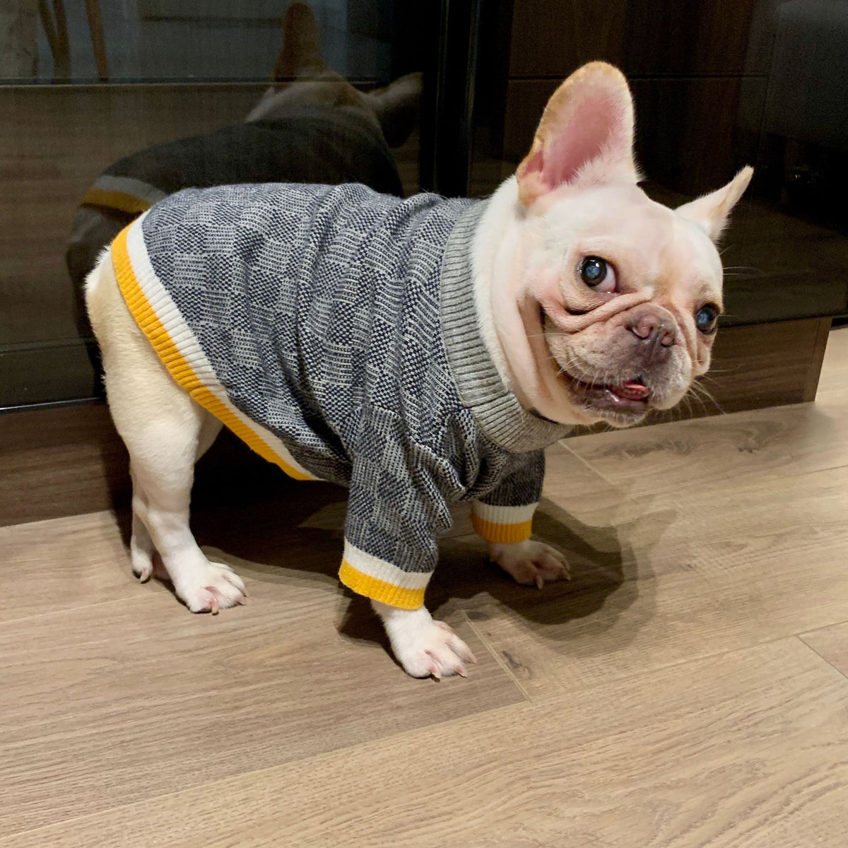 Wollpullover für Hunde in Blau – Bild 3 | LuxeStyle