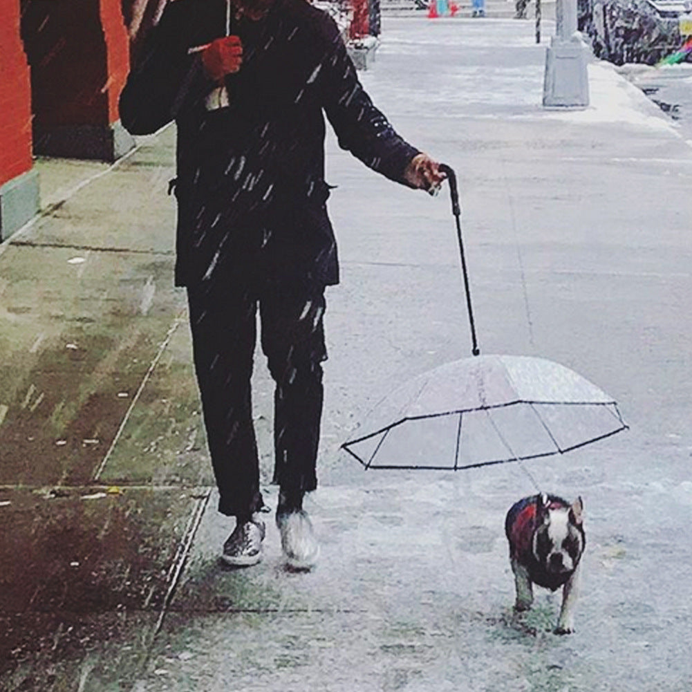 Hunde-Regenschirm mit Leine – Bild 7 | LuxeStyle