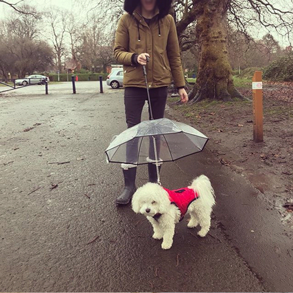Hunde-Regenschirm mit Leine – Bild 8 | LuxeStyle
