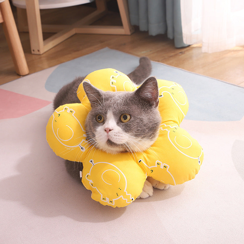 Anti-Leck- und Beisskragen für Katzen – Bild 1 | LuxeStyle