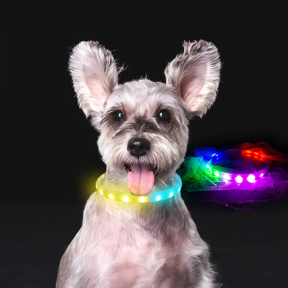Leuchthalsband für Hunde mit USB-Ladefunktion – Bild 1 | LuxeStyle