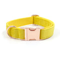 Samtiges Hundehalsband mit Fliege, Gelb – Bild 1 | LuxeStyle
