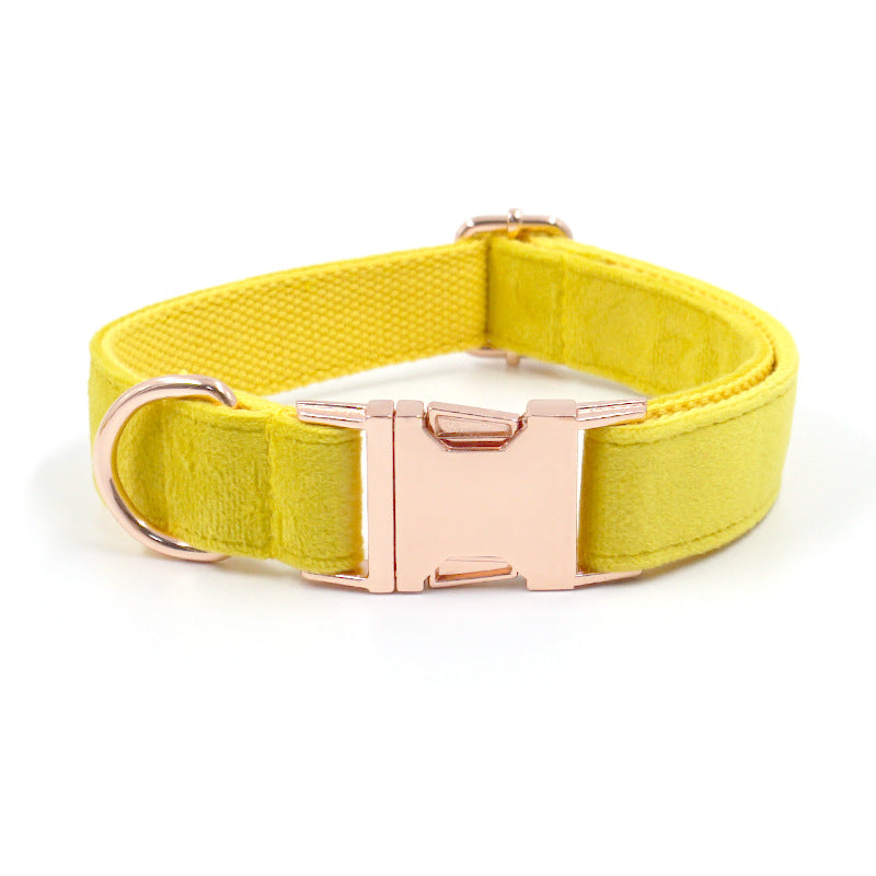 Samtiges Hundehalsband mit Fliege, Gelb – Bild 1 | LuxeStyle