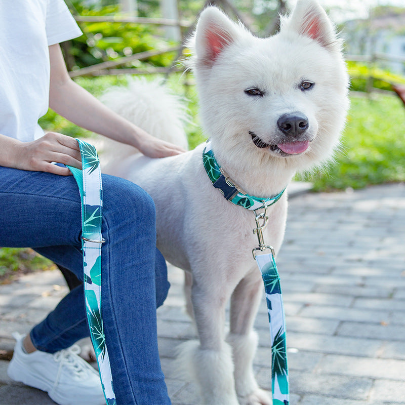 Hundehalsband & Leine Set im INS-Wind-Design – Bild 2 | LuxeStyle