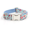 Macaron Hundehalsband – Bild 1 | LuxeStyle