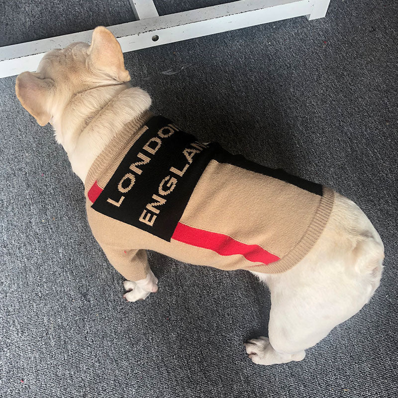 Teddy-Strickpullover mit britischem Karomuster für Hunde – Bild 4 | LuxeStyle