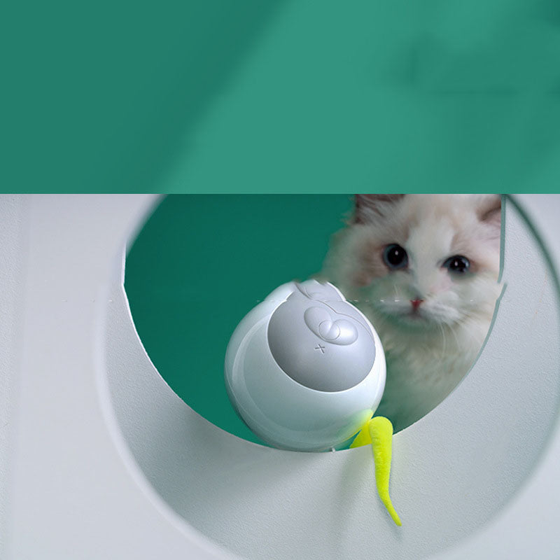 LED Leuchtball für Katzen, automatisch rollend – Bild 4 | LuxeStyle