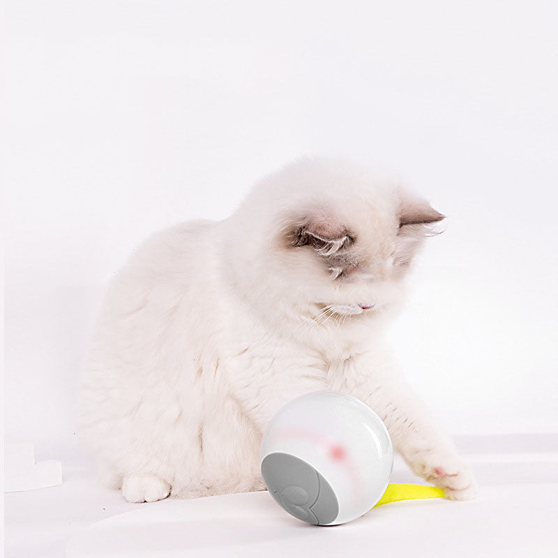 LED Leuchtball für Katzen, automatisch rollend – Bild 2 | LuxeStyle