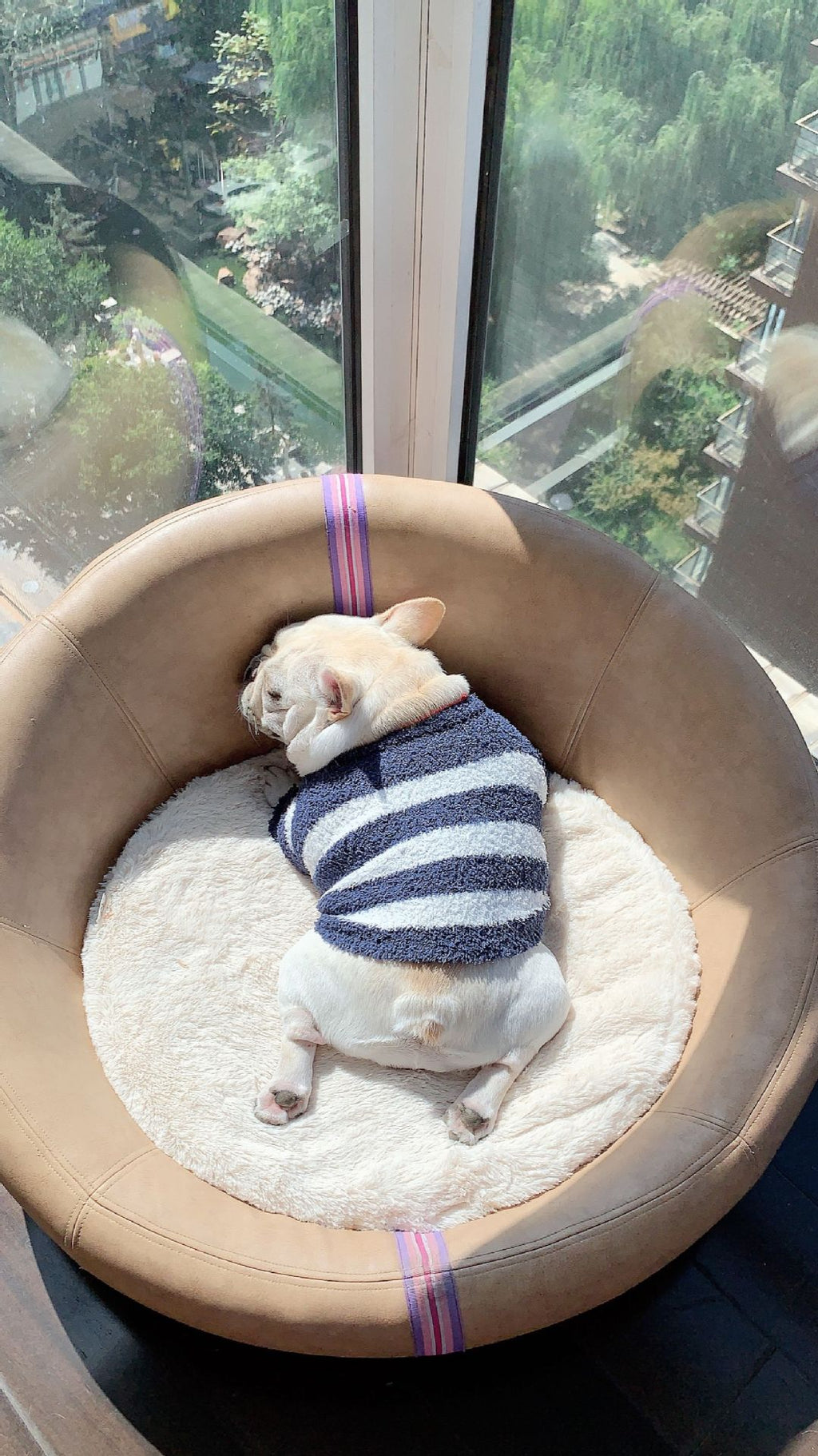 Weicher gestreifter Hundepullover | LuxeStyle