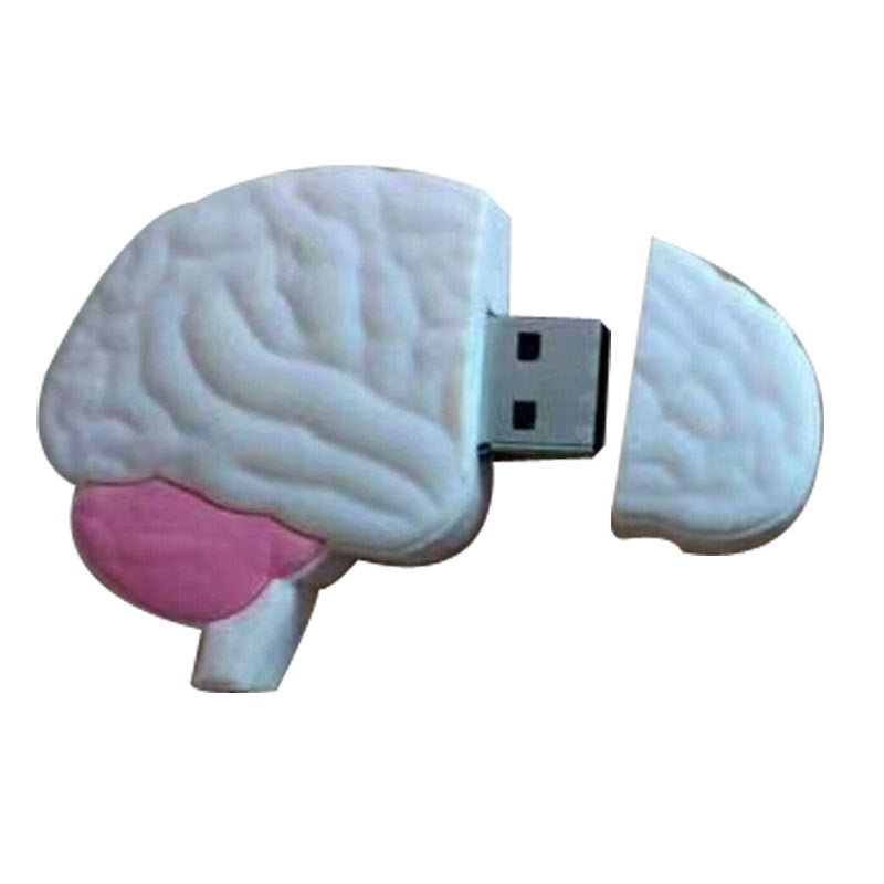 USB-Stick «Menschliche Organe»