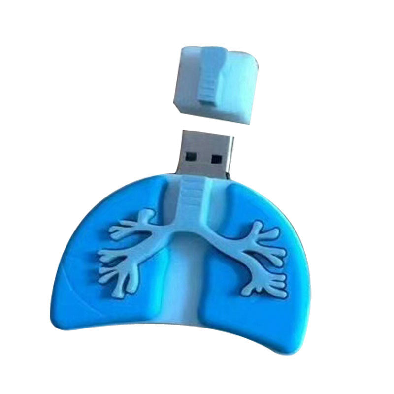 USB-Stick «Menschliche Organe»