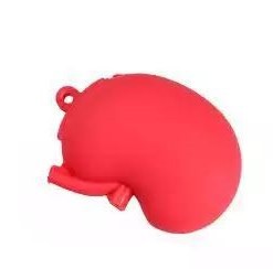 USB-Stick «Menschliche Organe»