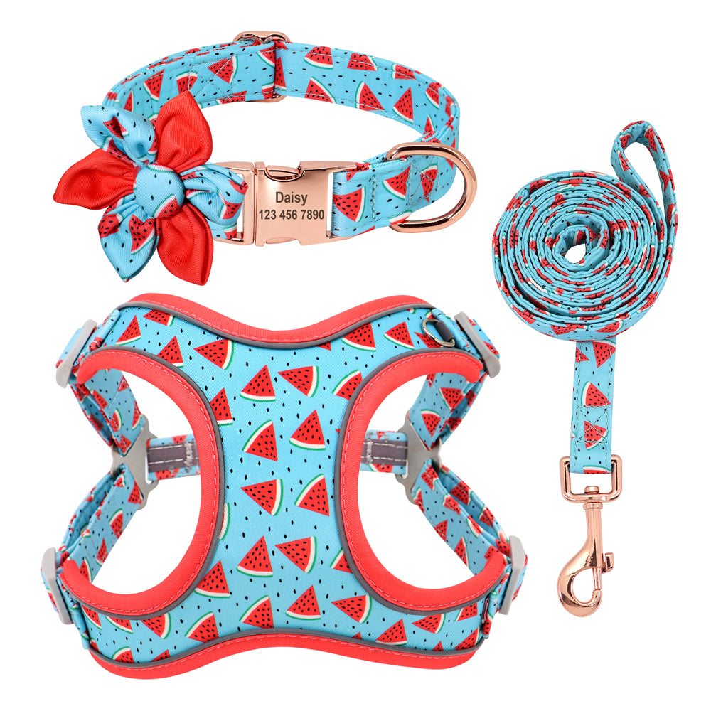 Hundeleine für kleine Hunde | LuxeStyle