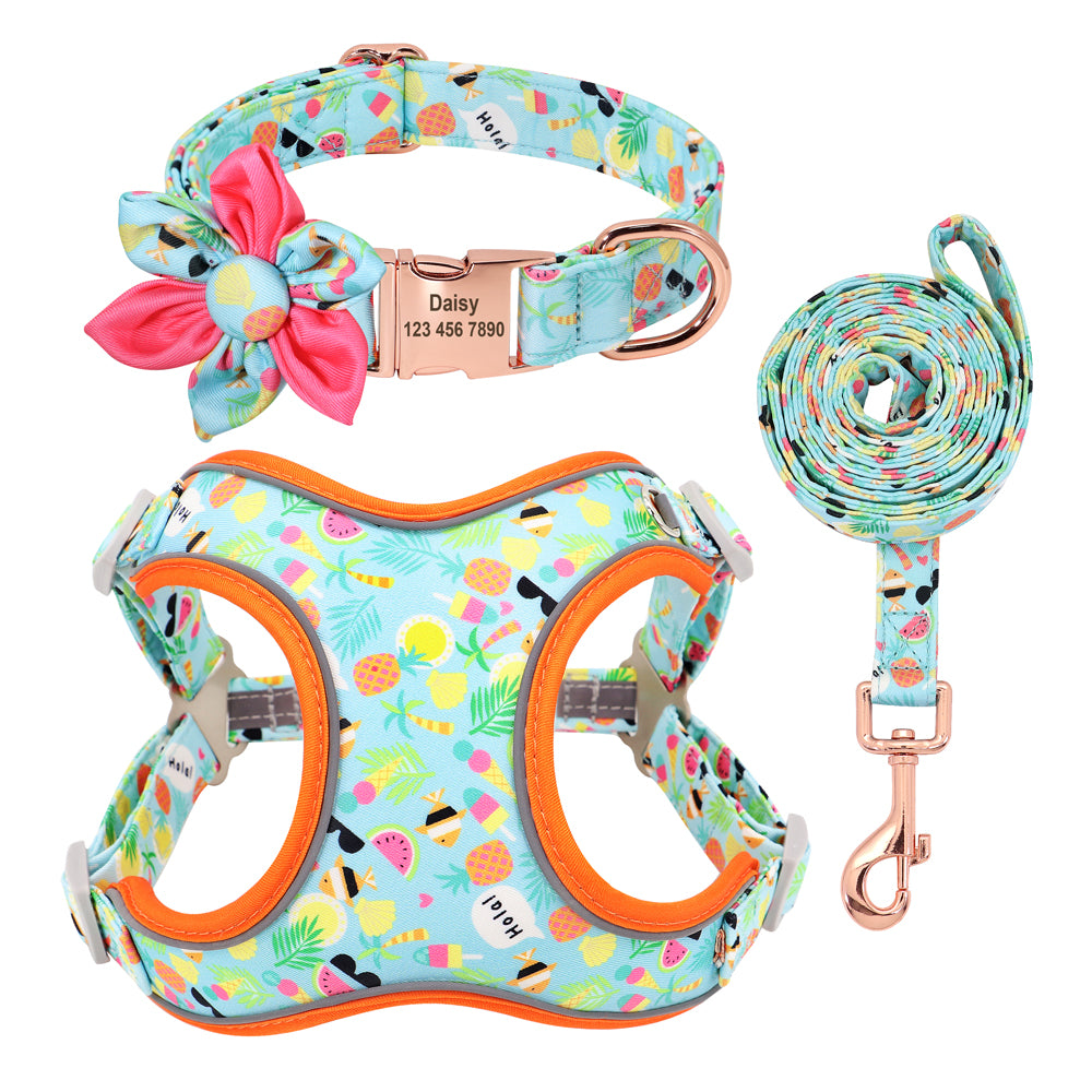 Hundeleine für kleine Hunde – Bild 5 | LuxeStyle