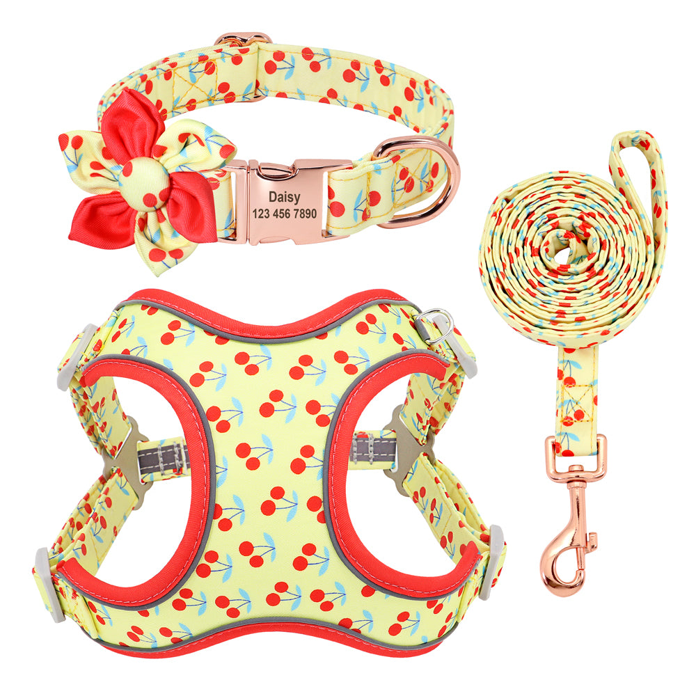 Hundeleine für kleine Hunde – Bild 3 | LuxeStyle