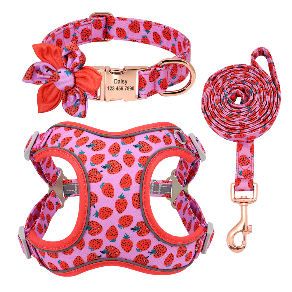 Hundeleine für kleine Hunde – Bild 2 | LuxeStyle