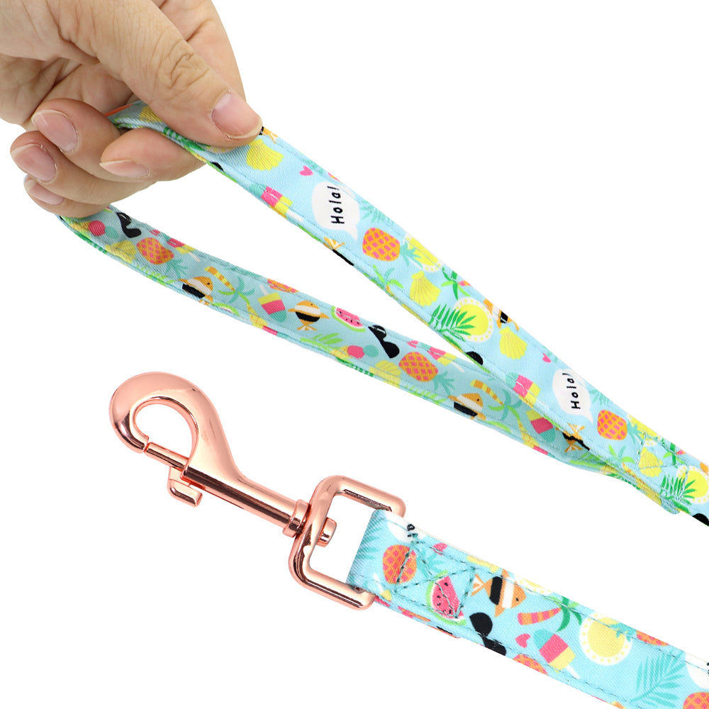 Hundeleine für kleine Hunde – Bild 4 | LuxeStyle