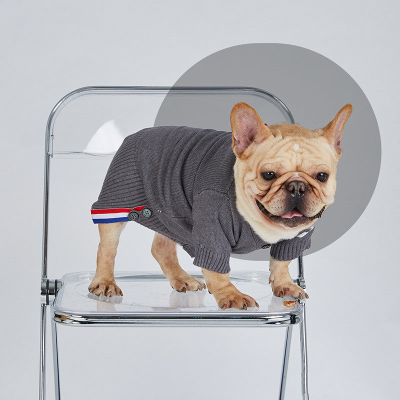 Hundemütze aus Baumwolle für kleine und mittlere Hunde | LuxeStyle
