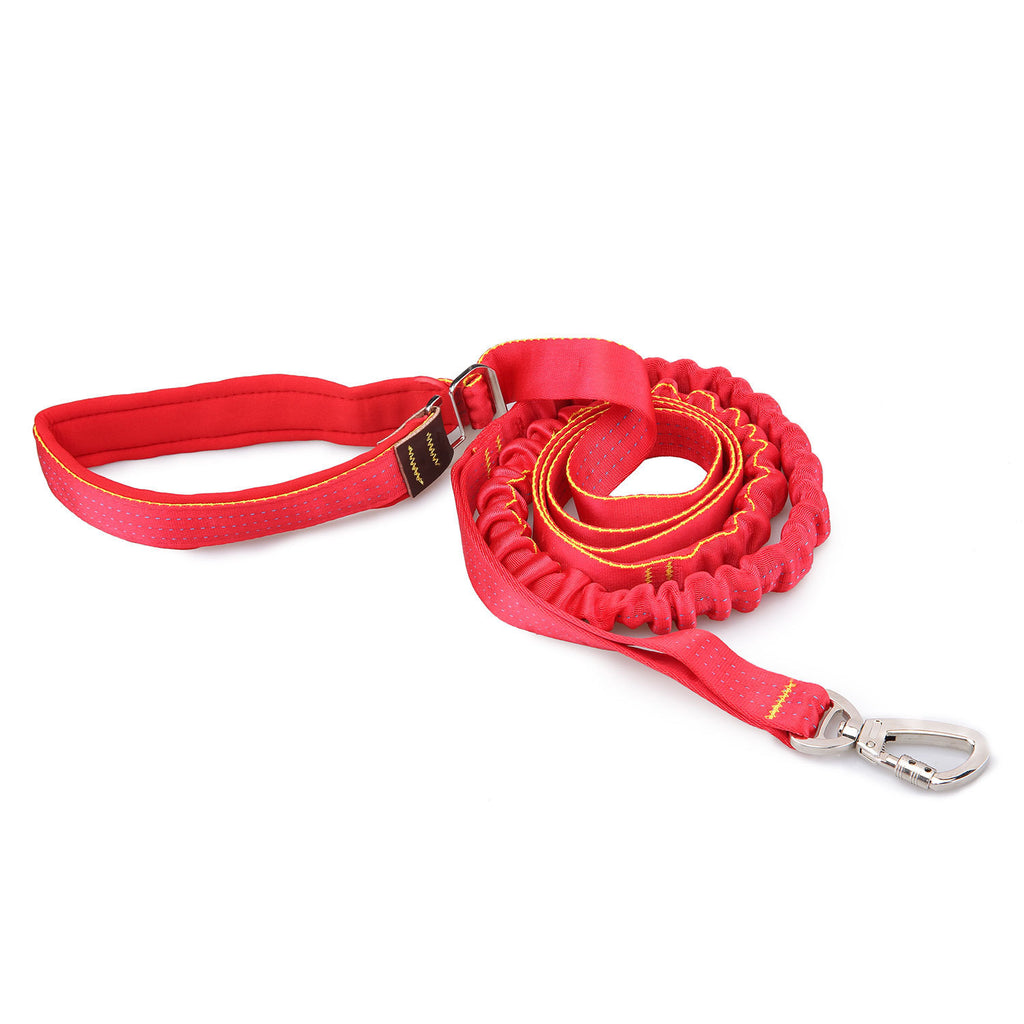 Nylon-Hundeleine, elastisch | LuxeStyle